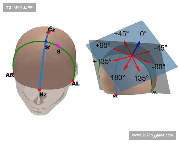 球员职业生涯规划受关注，如何平衡参赛与健康成课题